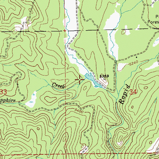 Topographic Map of Sapphire Creek, ID