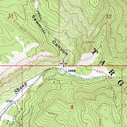 Topographic Map of Sawmill Canyon, ID