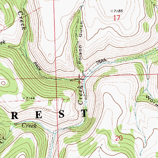 Topographic Map of Sawmill Creek, ID