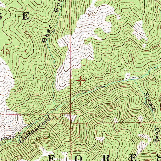 Topographic Map of Sawmill Creek, ID