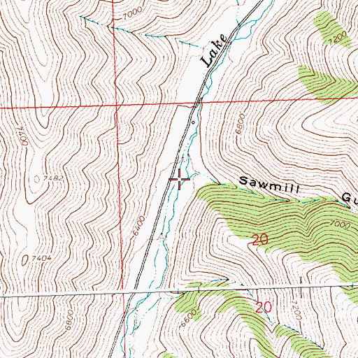 Topographic Map of Sawmill Gulch, ID