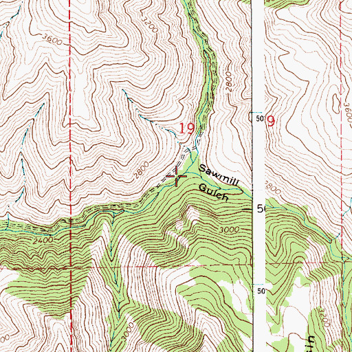 Topographic Map of Sawmill Gulch, ID