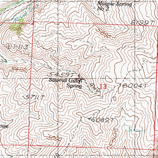 Topographic Map of Sawmill Gulch Spring, ID