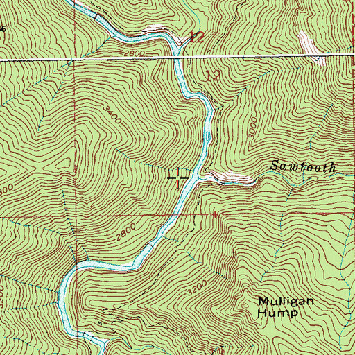 Topographic Map of Sawtooth Creek, ID
