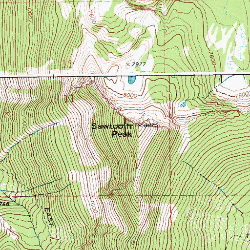 Topographic Map of Sawtooth Peak, ID