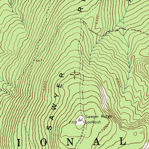 Topographic Map of Sawyer Ridge, ID
