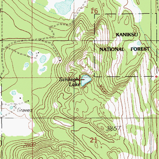 Topographic Map of Schlicht Lake, ID