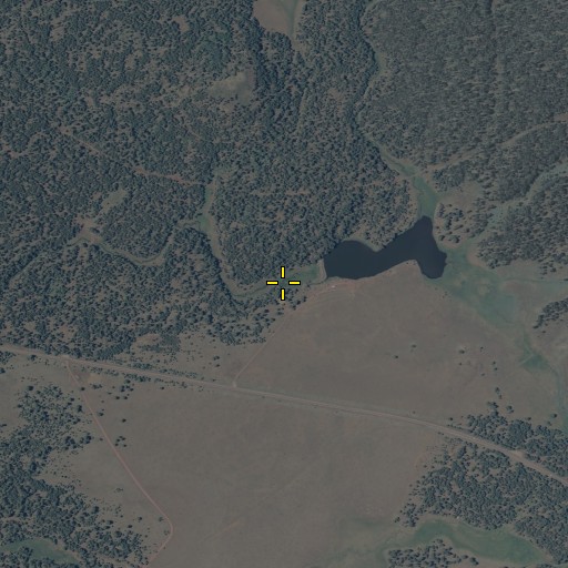 Aerial/Satellite Image of Bog Tank Dam, AZ