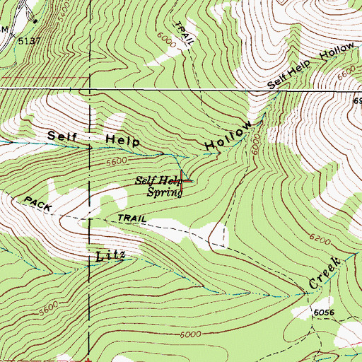 Topographic Map of Self Help Spring, ID