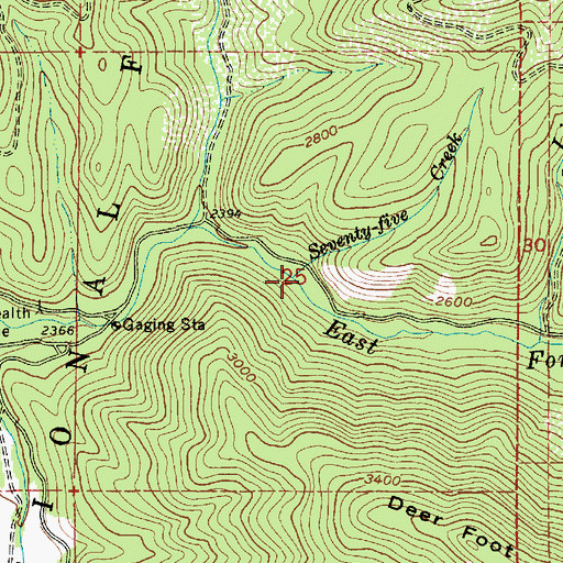 Topographic Map of Seventy-Five Creek, ID