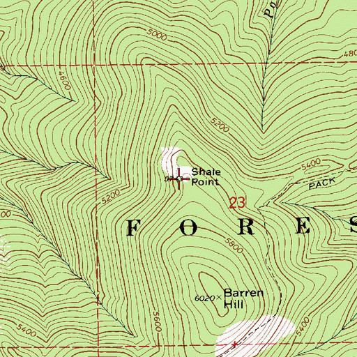 Topographic Map of Shale Point, ID