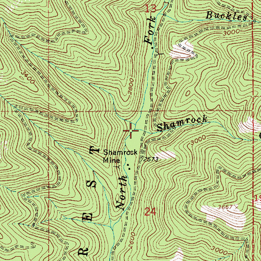 Topographic Map of Shamrock Creek, ID