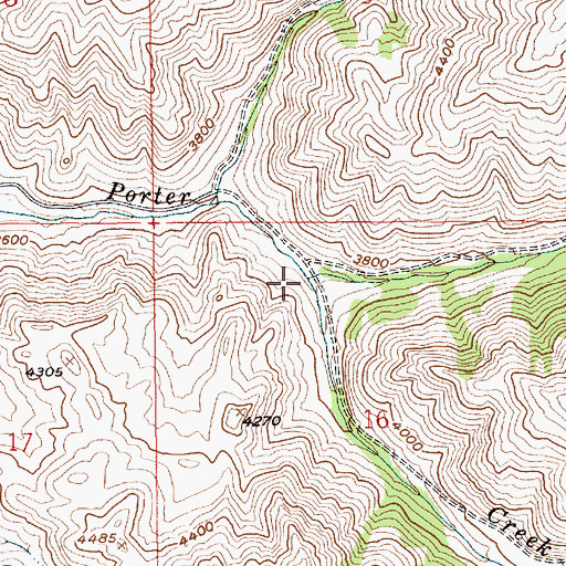 Topographic Map of Shanks Creek, ID