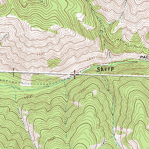 Topographic Map of Sheep Creek, ID