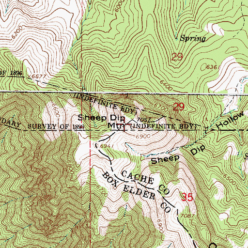 Topographic Map of Sheep Dip Mountain, ID