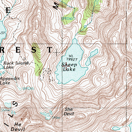 Topographic Map of Sheep Lake, ID
