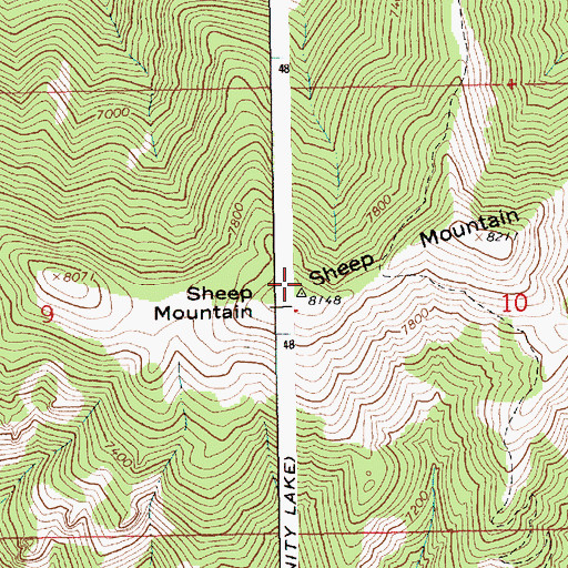 Topographic Map of Sheep Mountain, ID