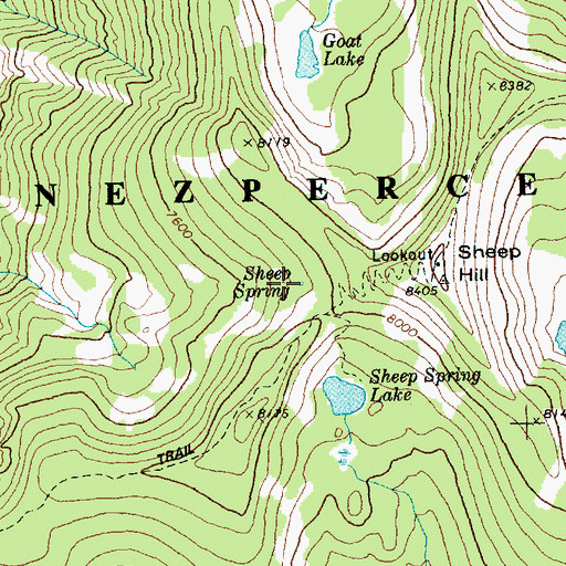 Topographic Map of Sheep Spring, ID