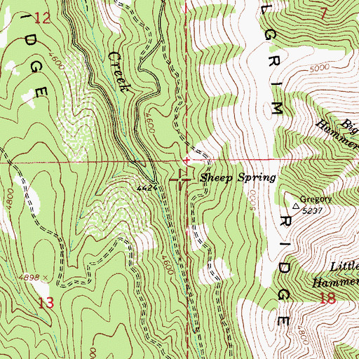 Topographic Map of Sheep Spring, ID
