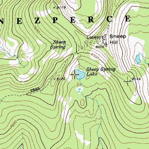 Topographic Map of Sheep Spring Lake, ID