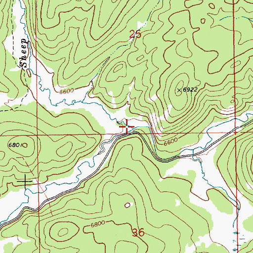 Topographic Map of Sheep Trail Creek, ID