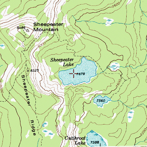 Topographic Map of Sheepeater Lake, ID