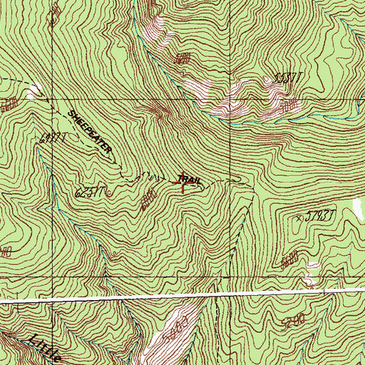 Topographic Map of Sheepeater Trail, ID
