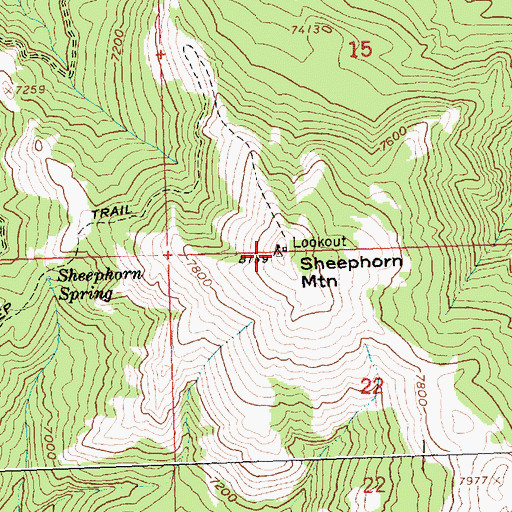 Topographic Map of Sheephorn Mountain, ID