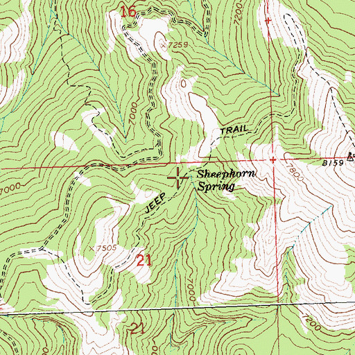 Topographic Map of Sheephorn Spring, ID