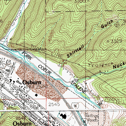 Topographic Map of Shirttail Gulch, ID