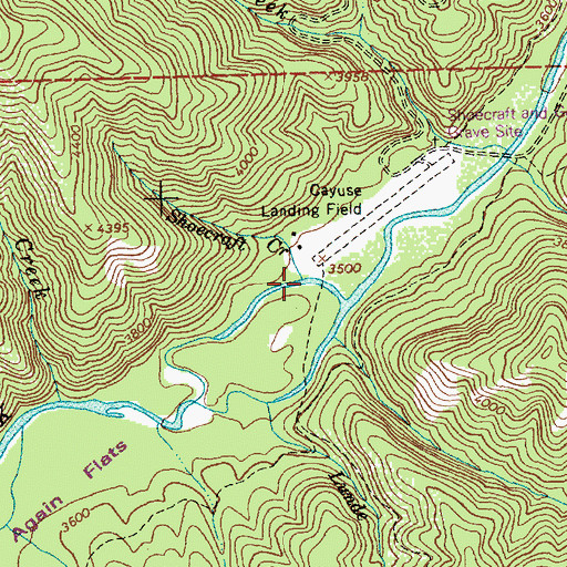 Topographic Map of Shoecraft Creek, ID