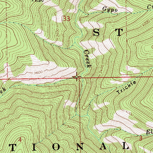 Topographic Map of Shoepack Creek, ID