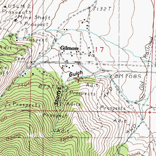 Topographic Map of Shortys Gulch, ID