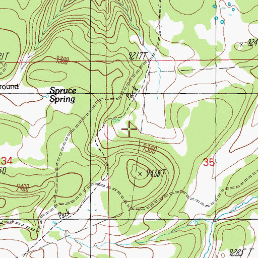 Topographic Map of East Fork Baldy Trail Ninetyfive, AZ