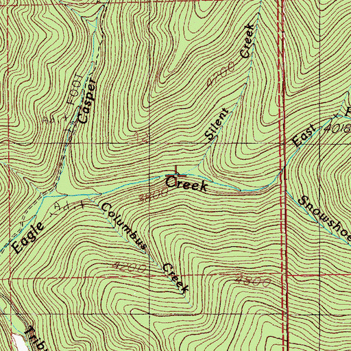 Topographic Map of Silent Creek, ID