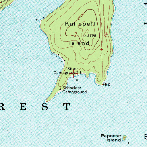 Topographic Map of Silver Campground, ID