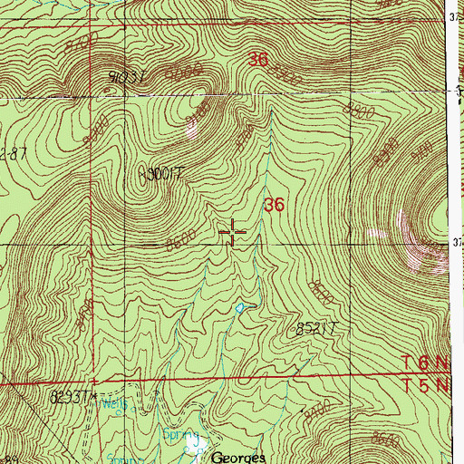 Topographic Map of George Tank, AZ