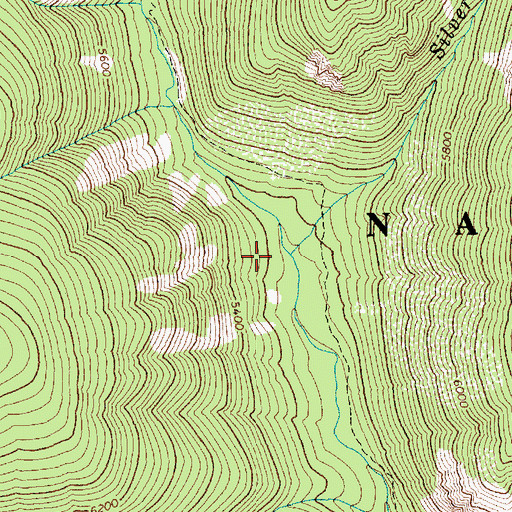 Topographic Map of Silver Spur Creek, ID