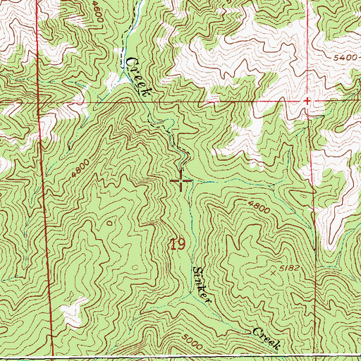 Topographic Map of Sinker Creek, ID