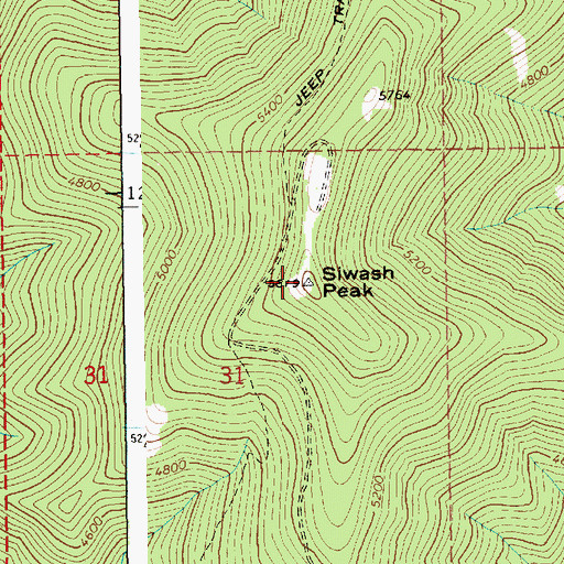 Topographic Map of Siwash Peak, ID