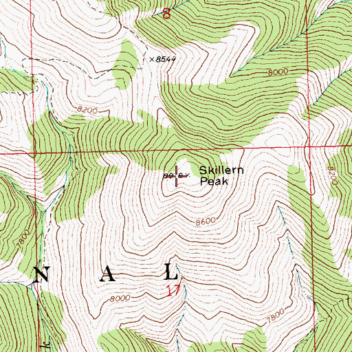 Topographic Map of Skillern Peak, ID