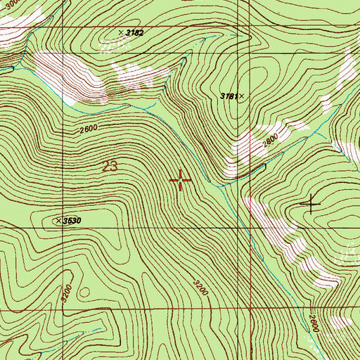Topographic Map of Skitwish Creek, ID