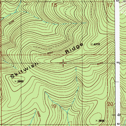 Topographic Map of Skitwish Ridge, ID