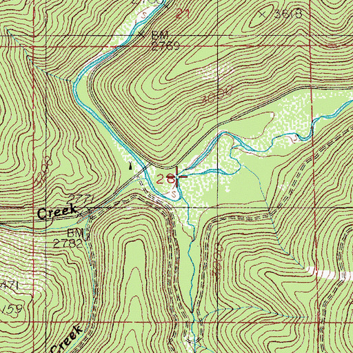 Topographic Map of Skookum Creek, ID