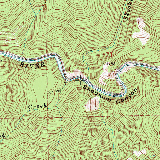 Topographic Map of Skookum Creek, ID