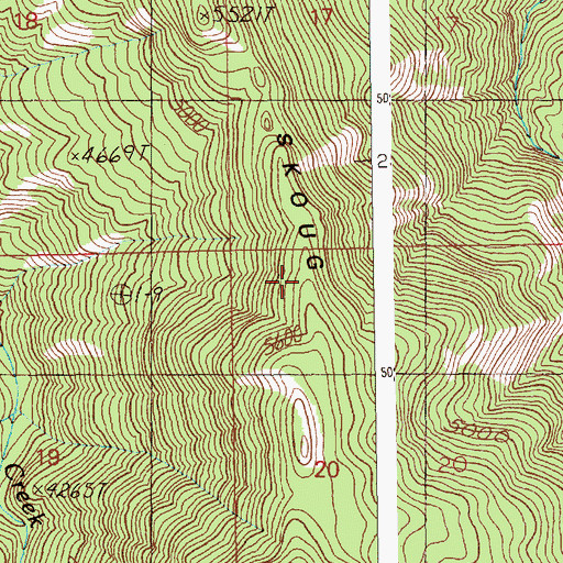 Topographic Map of Skoug Ridge, ID