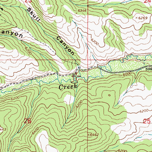 Topographic Map of Skull Canyon, ID