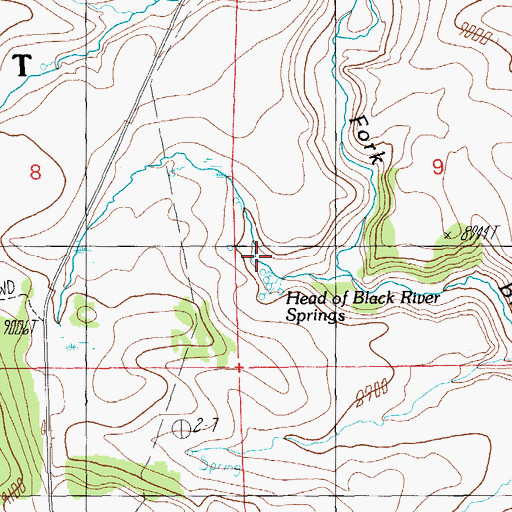 Topographic Map of Head of Black River Springs, AZ