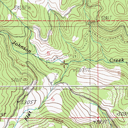 Topographic Map of Skunk Cabbage Flat, ID