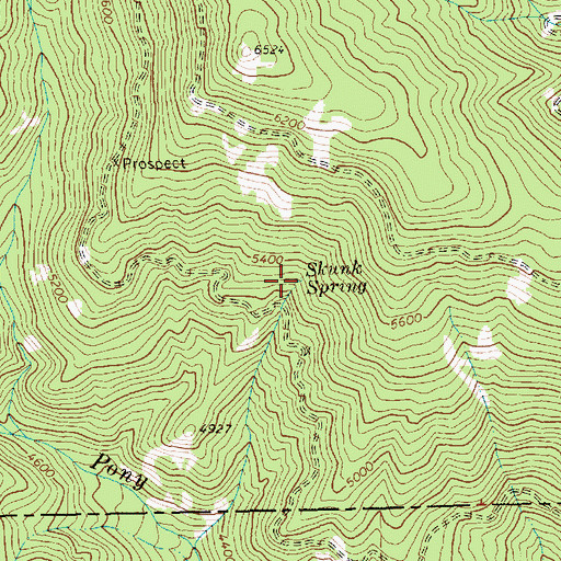 Topographic Map of Skunk Spring, ID